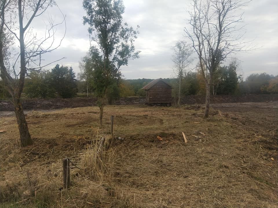 Champ rural avec des arbres dénudés, une petite cabane au loin et un ciel nuageux.