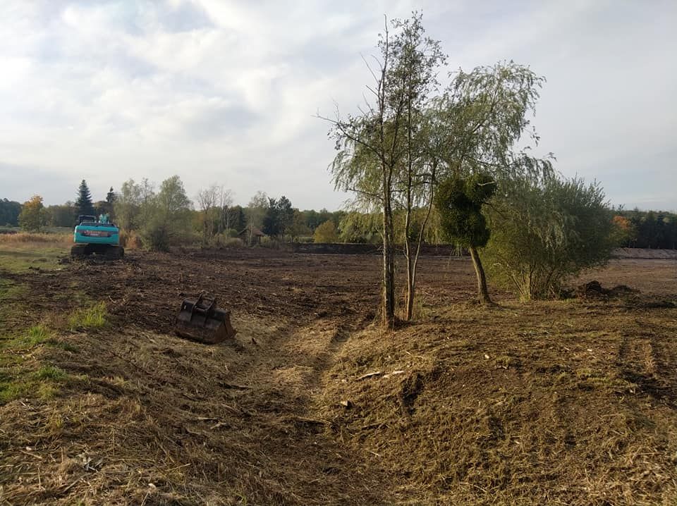 Champ défriché avec une petite excavatrice et quelques arbres sous un ciel nuageux.