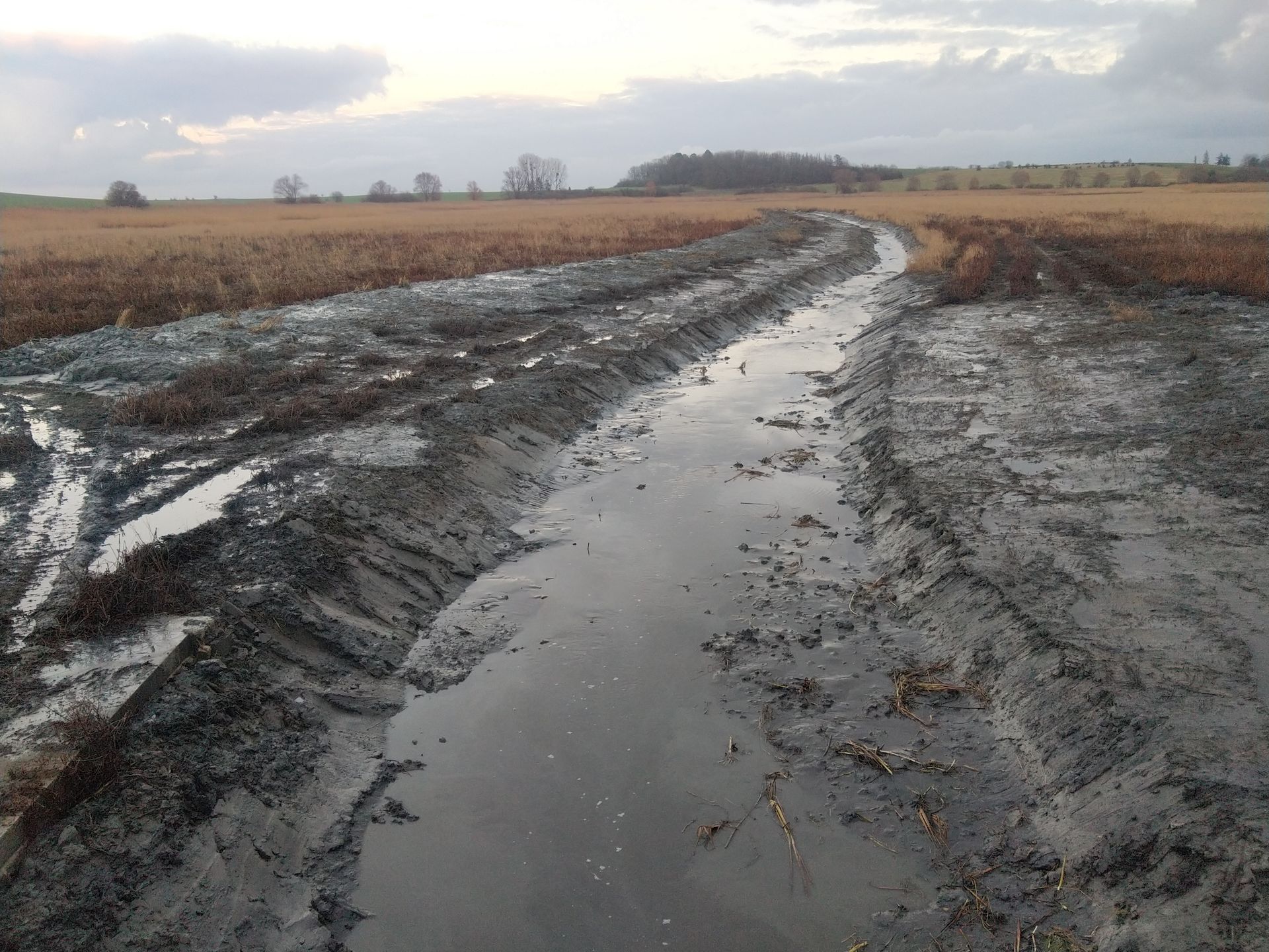 Chemin de ferme boueux avec un fossé rempli d'eau traversant des champs ouverts sous un ciel nuageux.