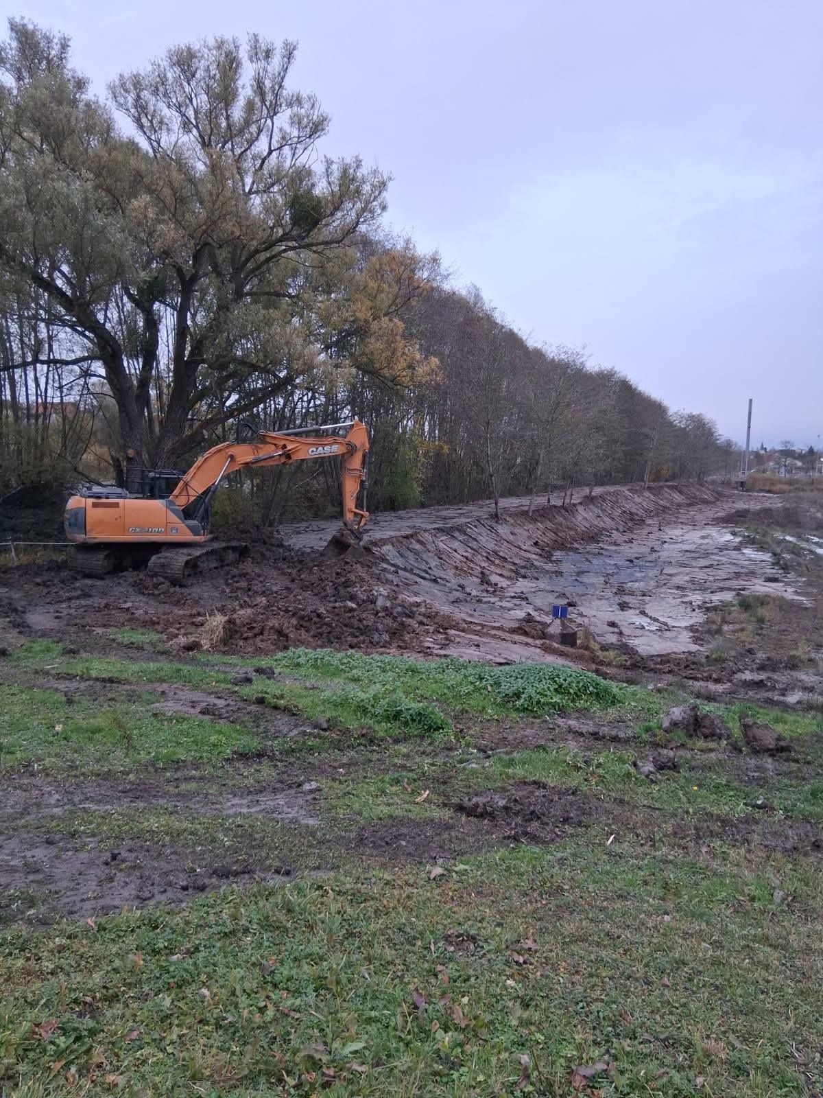 Une pelleteuse orange déblayait un terrain boueux près des arbres sous un ciel couvert.