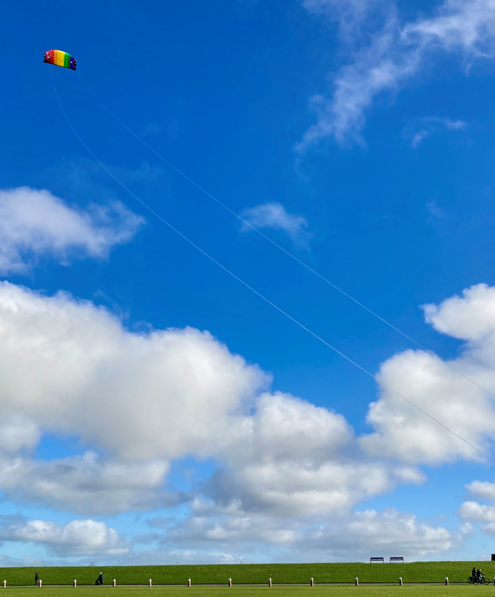 Ein bunter Drachen fliegt am blauen Himmel über einer Wiese