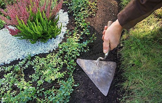 Ansicht einer Hand mit Kelle die ein Grab pflegt und die Erde mit der Kelle in Form bringt