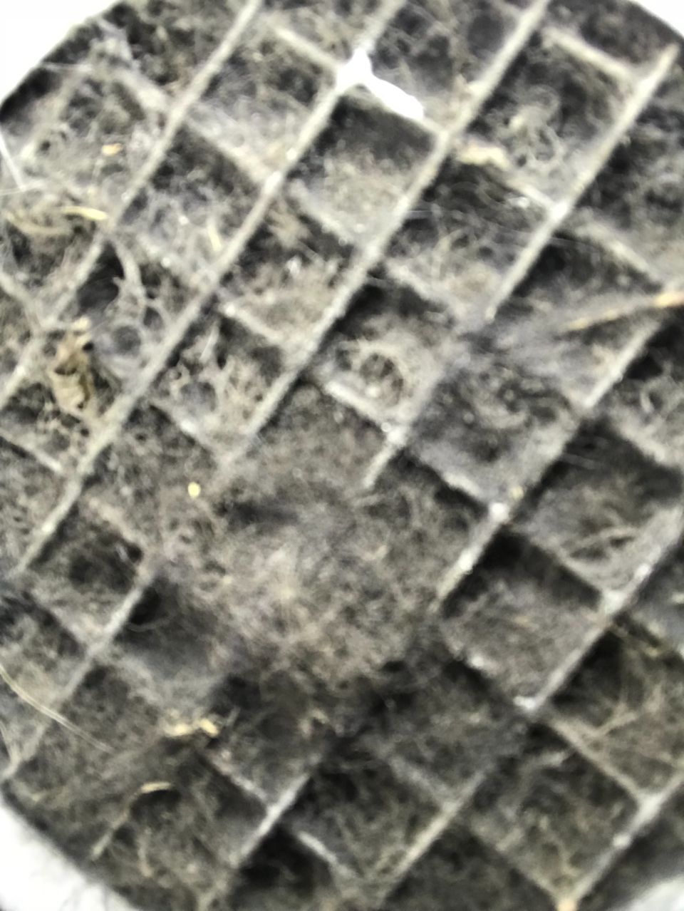 Verschmutztes Lüftungsgitter, Foto von Wasair.ch