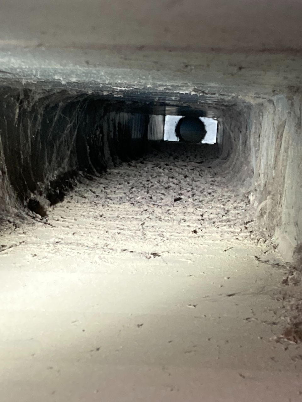 Verschmutzte Lüftung, Foto von Wasair.ch