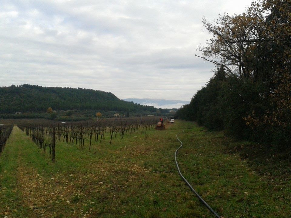 Préparation des sols pour les vignes
