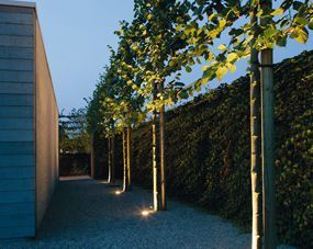 Außenbeleuchtung an den Bäumen