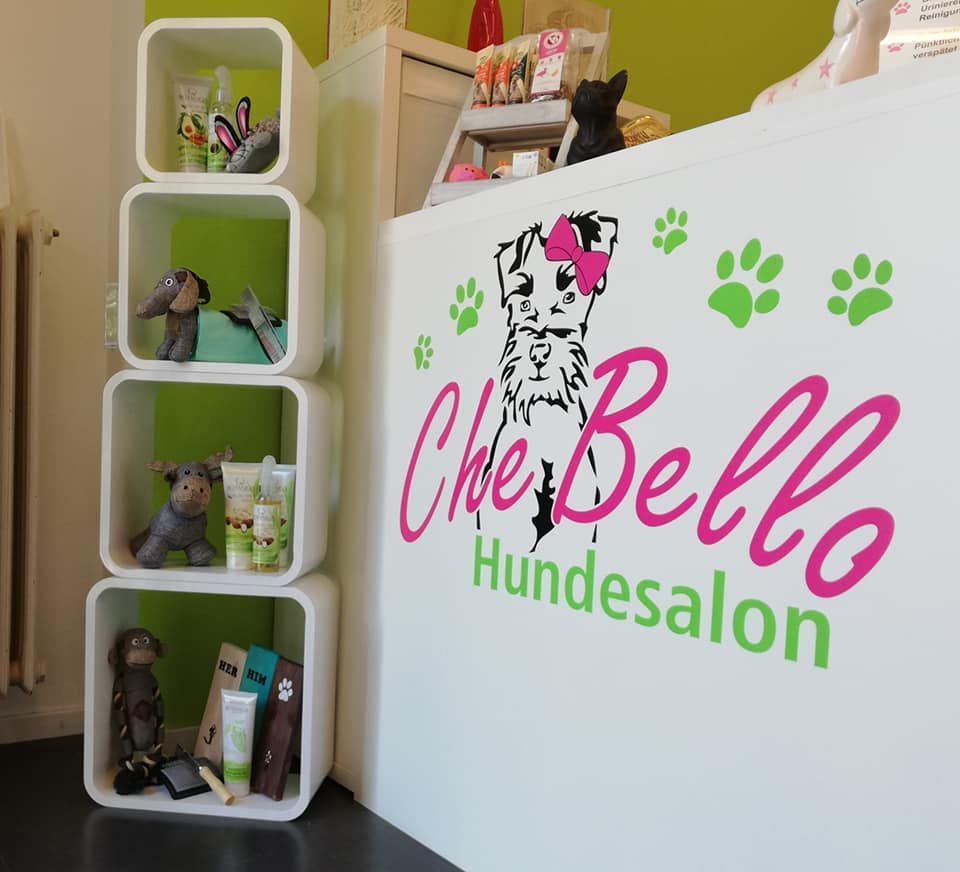 Hundesalon - Hundesalon Che Bello in Binningen