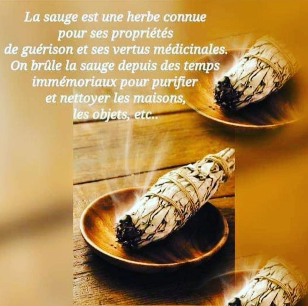 Radiesthésie - L'Arcane 7