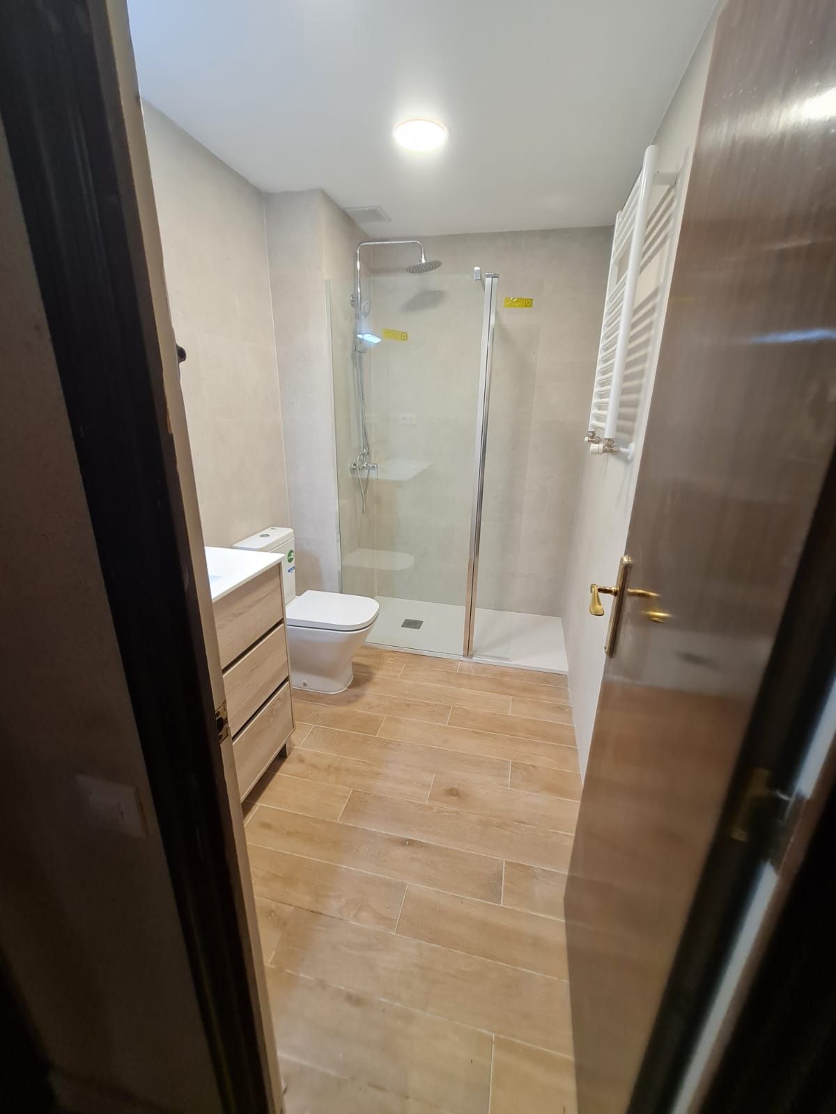 Interior del baño: desde la puerta se ven el inodoro, la ducha, el lavabo y el suelo de madera.