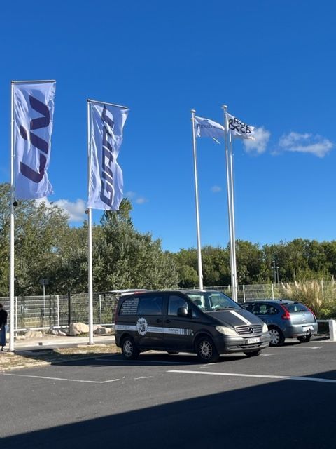 Des voitures garées devant une concession automobile, par une journée ensoleillée, sous de grandes banderoles et des drapeaux bleus.