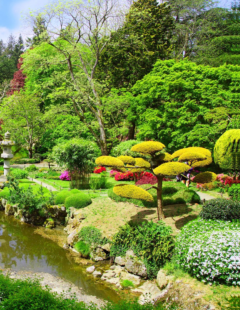 Jardin arboré avec arbustes et végétation