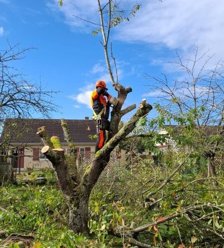 Un homme en tenue de sécurité orange utilise une tronçonneuse pour tailler un arbre. Extérieur, ciel bleu et maison en arrière-plan.