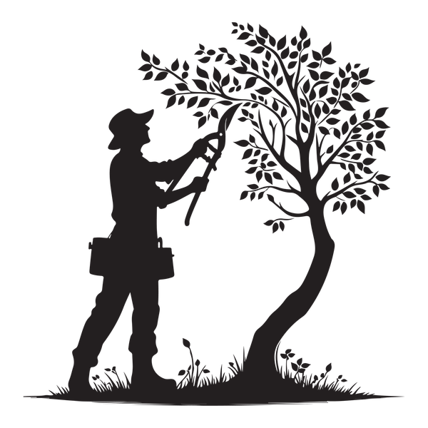 Jardinier taillant un arbre avec des cisailles ; silhouette sur fond blanc.