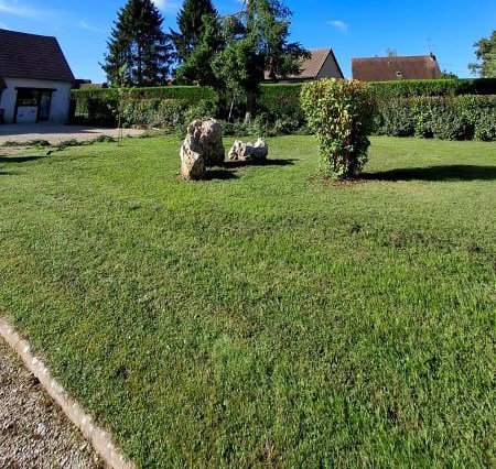 Pelouse verte tondue avec rochers et arbustes devant les maisons par une journée ensoleillée.