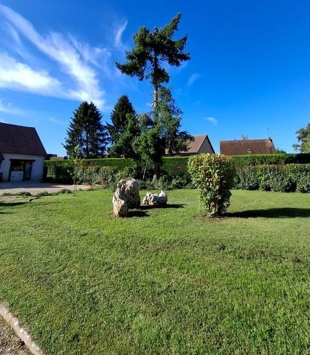 Jardin avec un arbre à tailler, des maisons, des rochers et un ciel bleu.