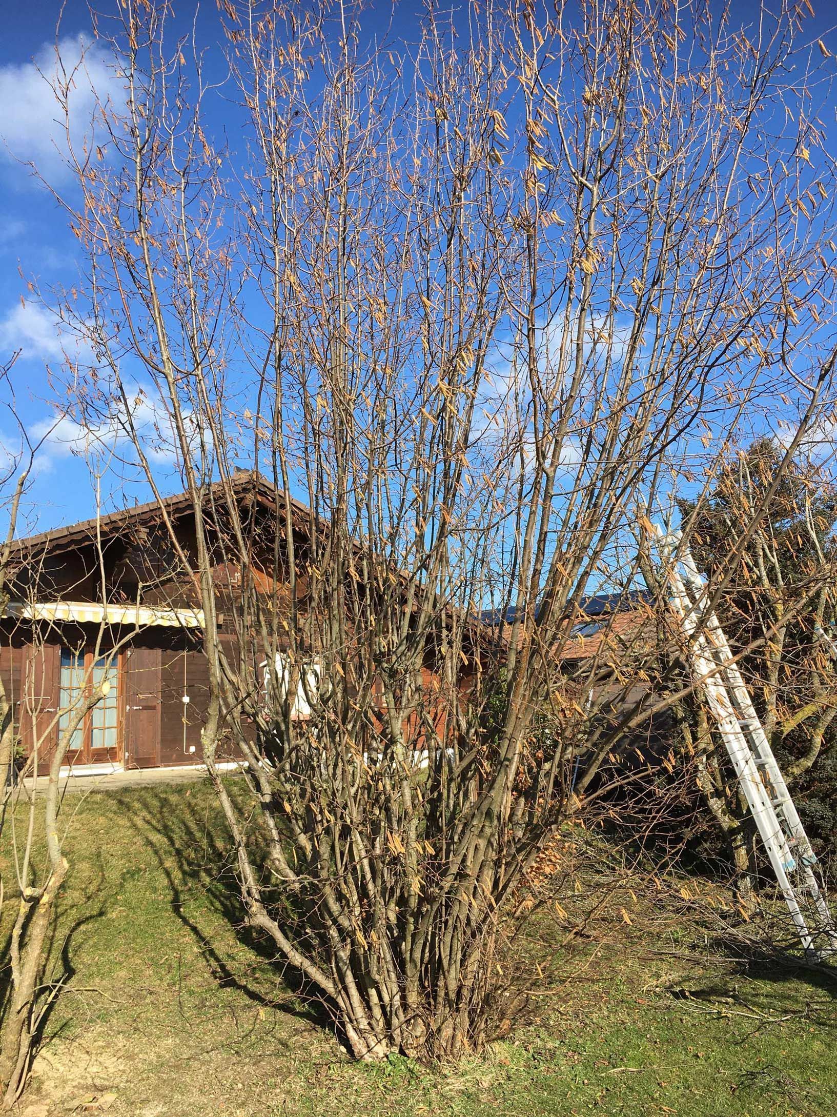 Horticultrice-floricultrice et camion itinérant - Les Fleurs d'Alena