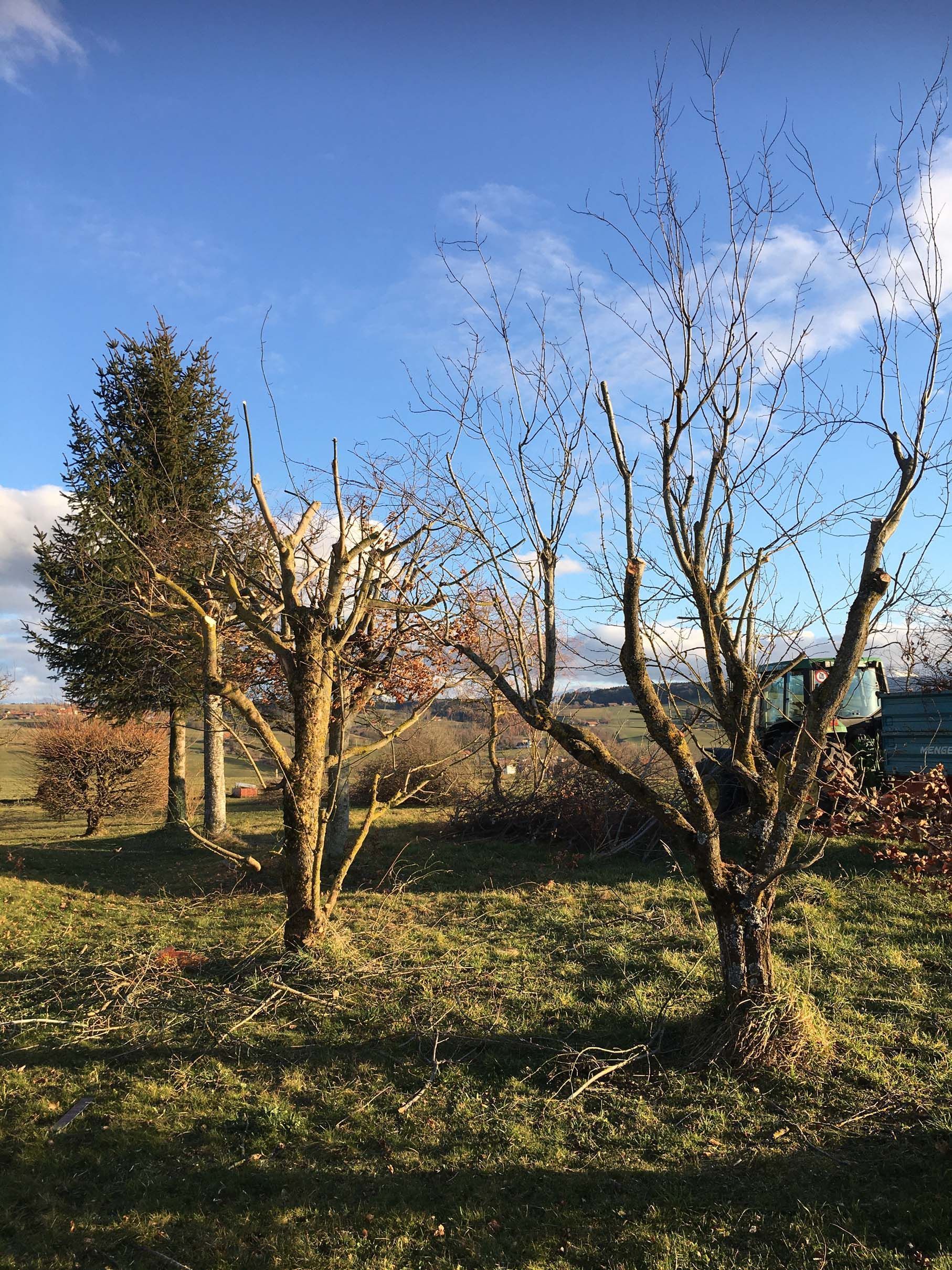 Horticultrice-floricultrice et camion itinérant - Les Fleurs d'Alena