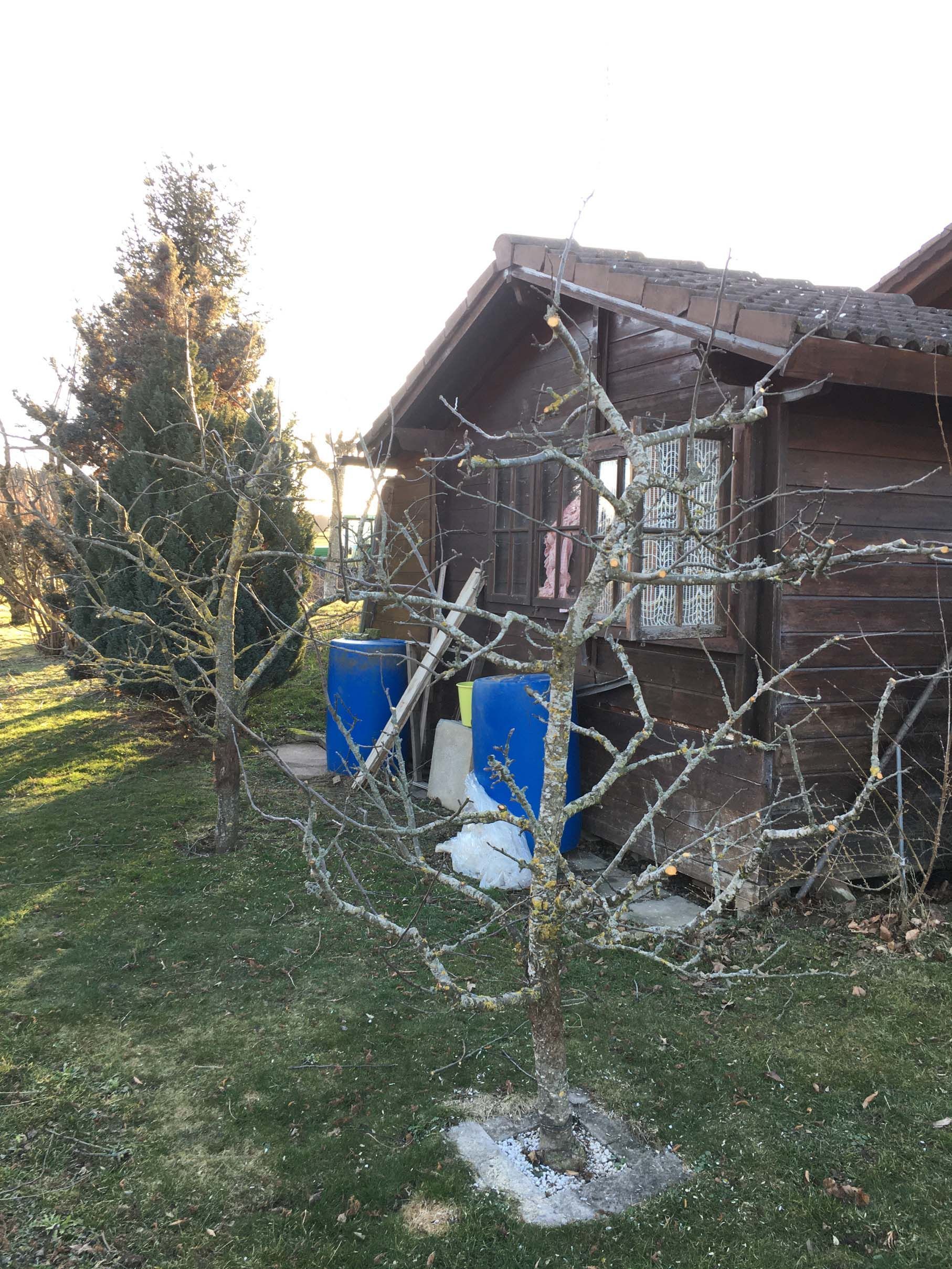 Horticultrice-floricultrice et camion itinérant - Les Fleurs d'Alena
