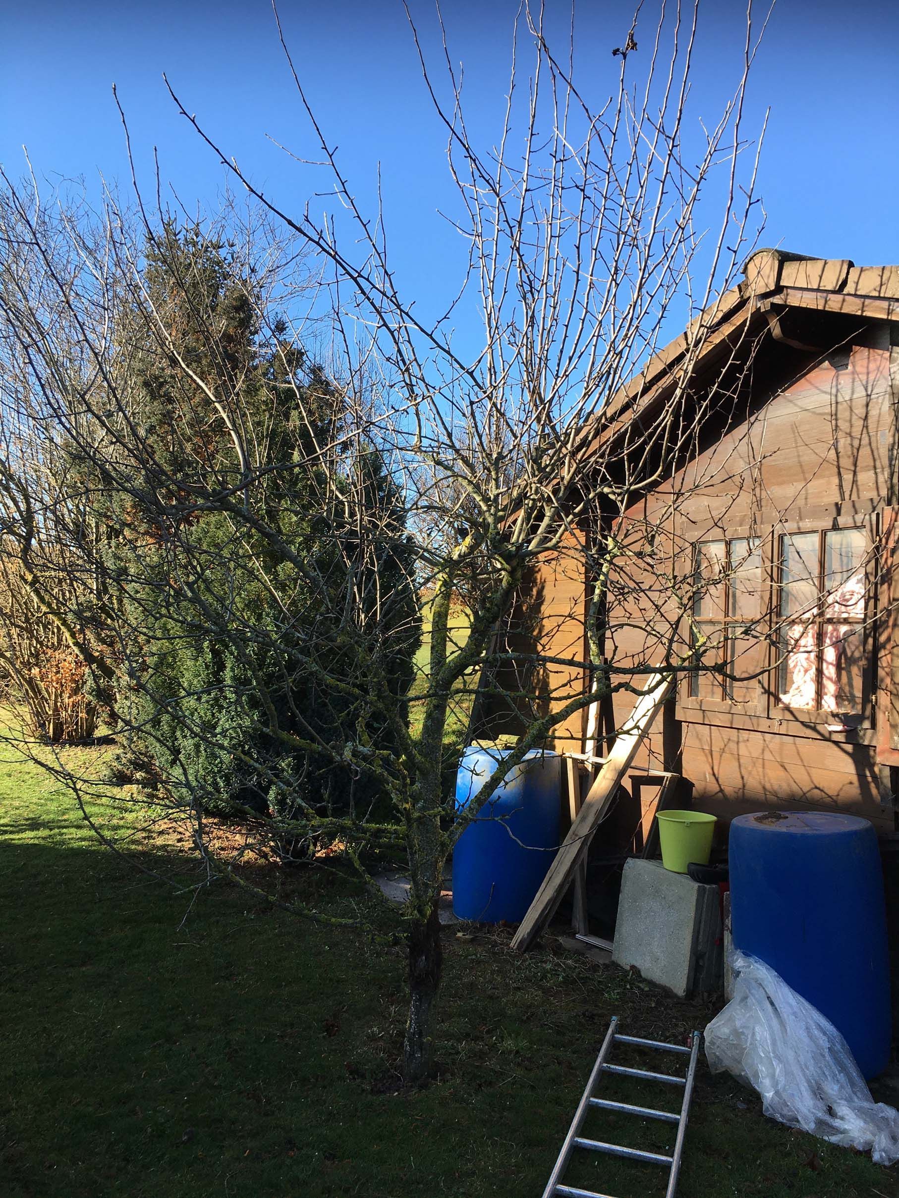 Horticultrice-floricultrice et camion itinérant - Les Fleurs d'Alena