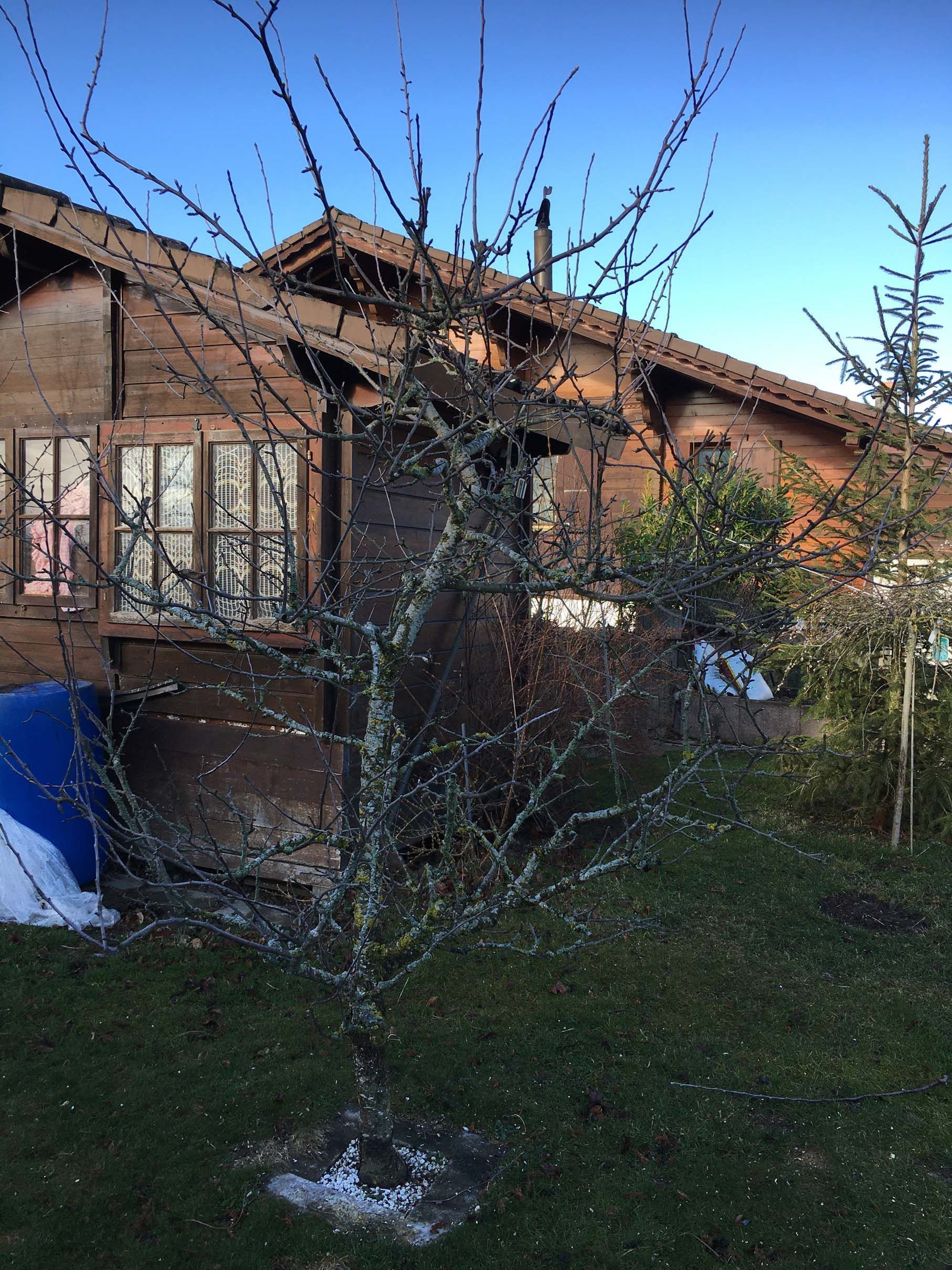 Horticultrice-floricultrice et camion itinérant - Les Fleurs d'Alena