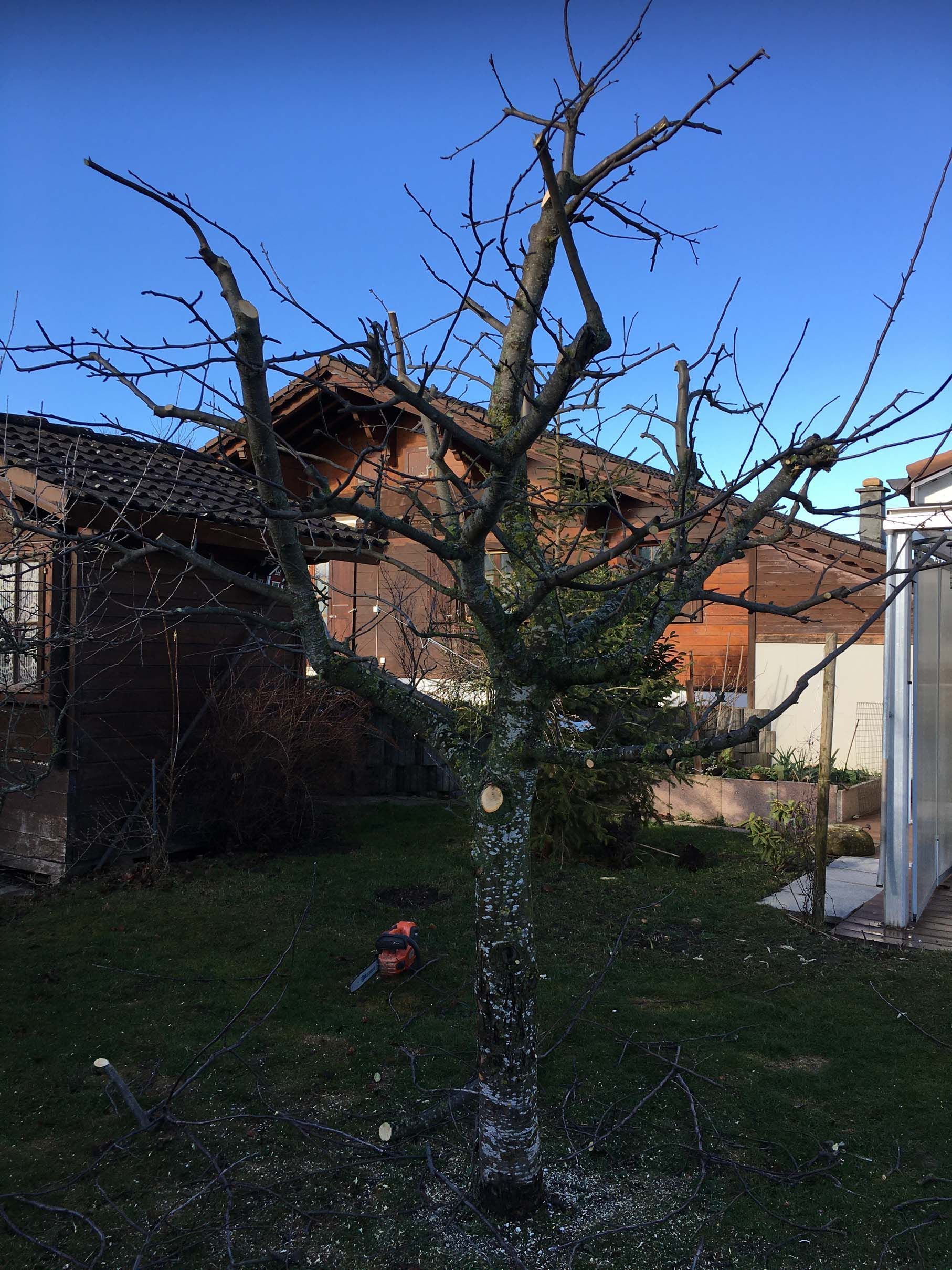 Horticultrice-floricultrice et camion itinérant - Les Fleurs d'Alena