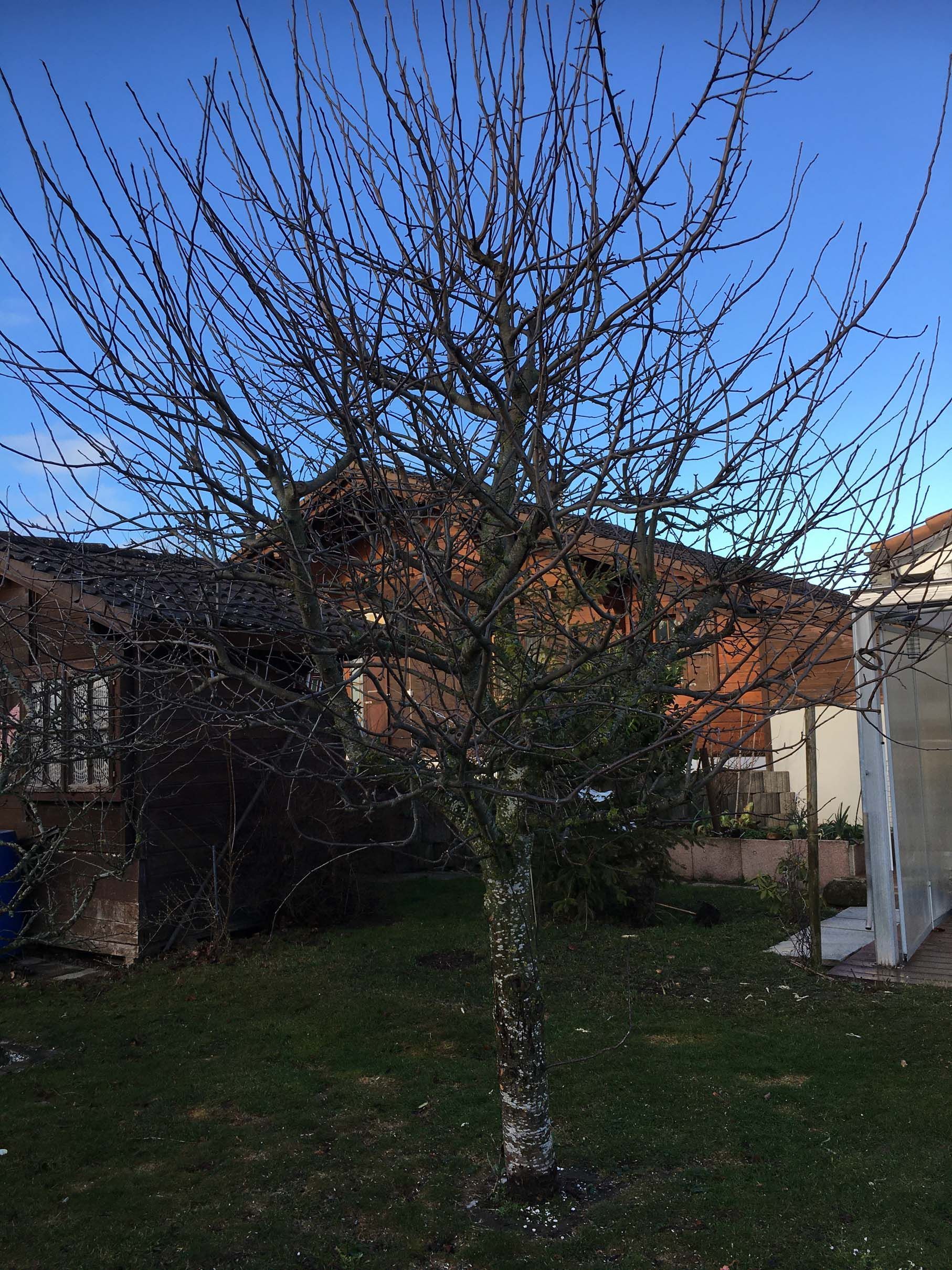 Horticultrice-floricultrice et camion itinérant - Les Fleurs d'Alena