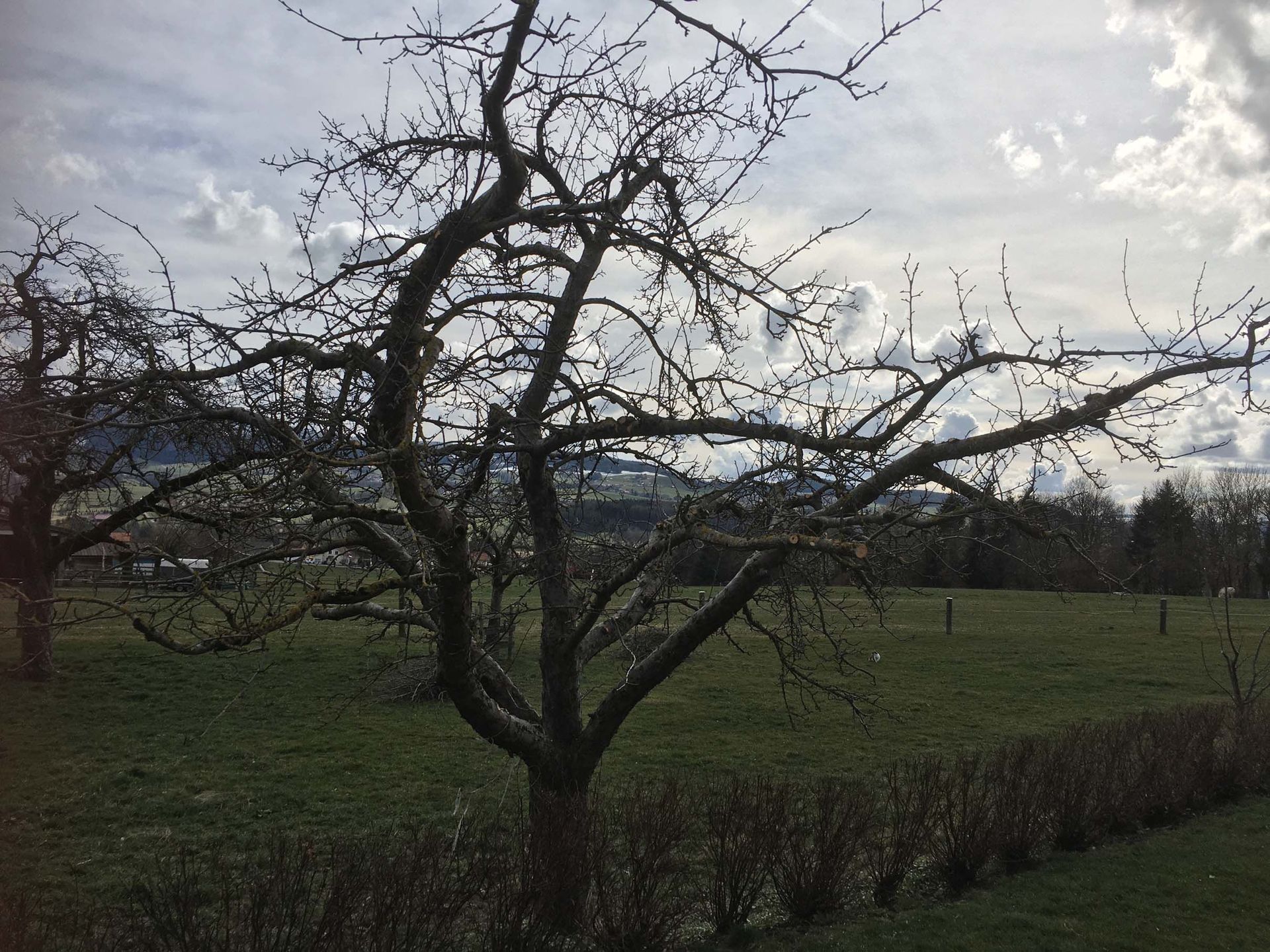 Horticultrice-floricultrice et camion itinérant - Les Fleurs d'Alena