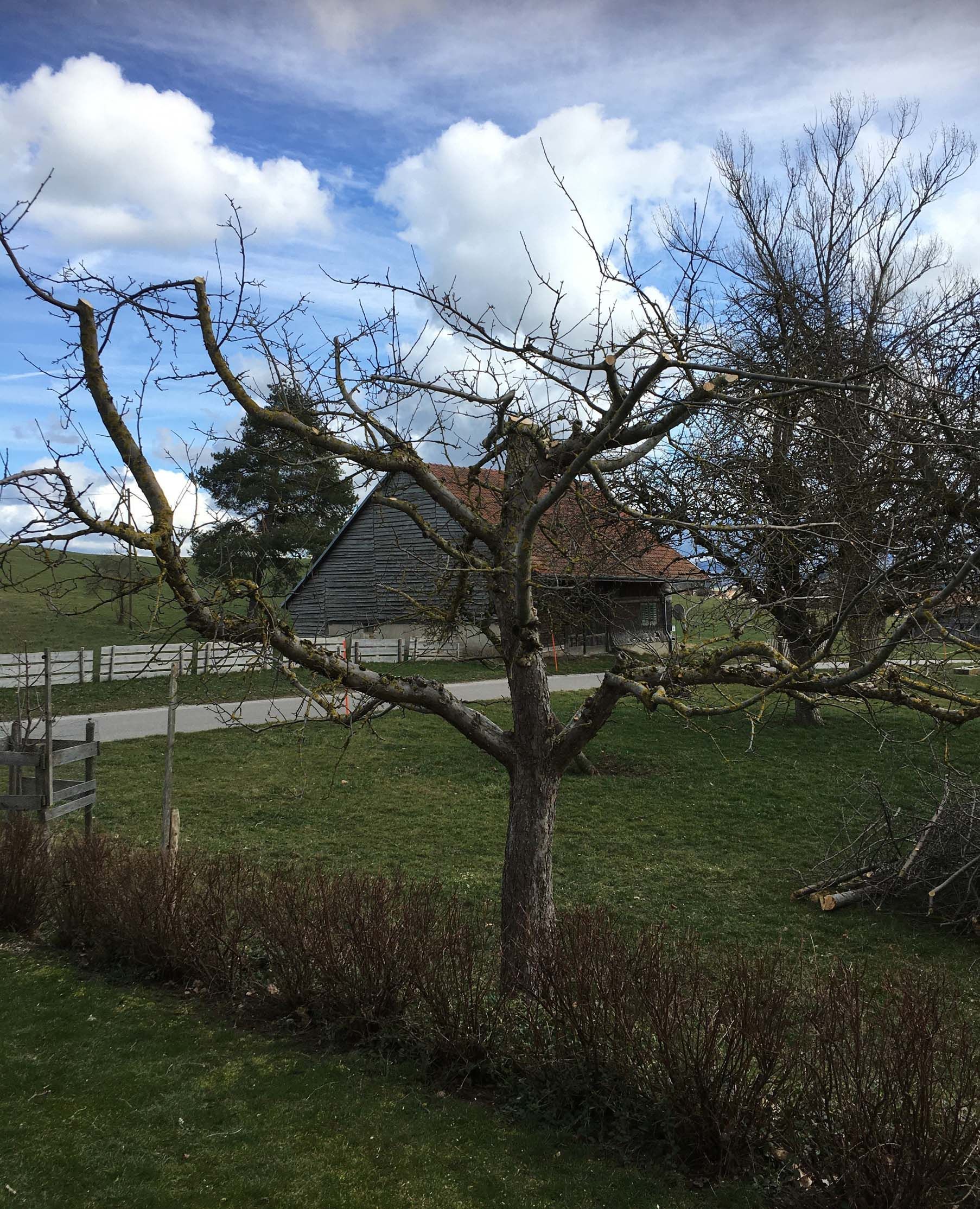 Horticultrice-floricultrice et camion itinérant - Les Fleurs d'Alena