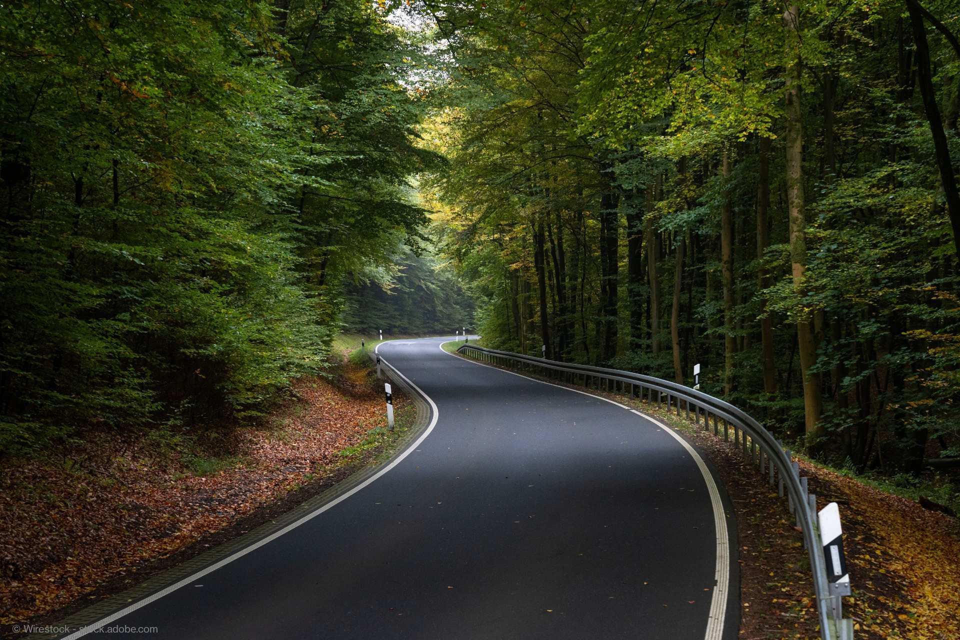 Icon für Waldweg nach Forstarbeiten