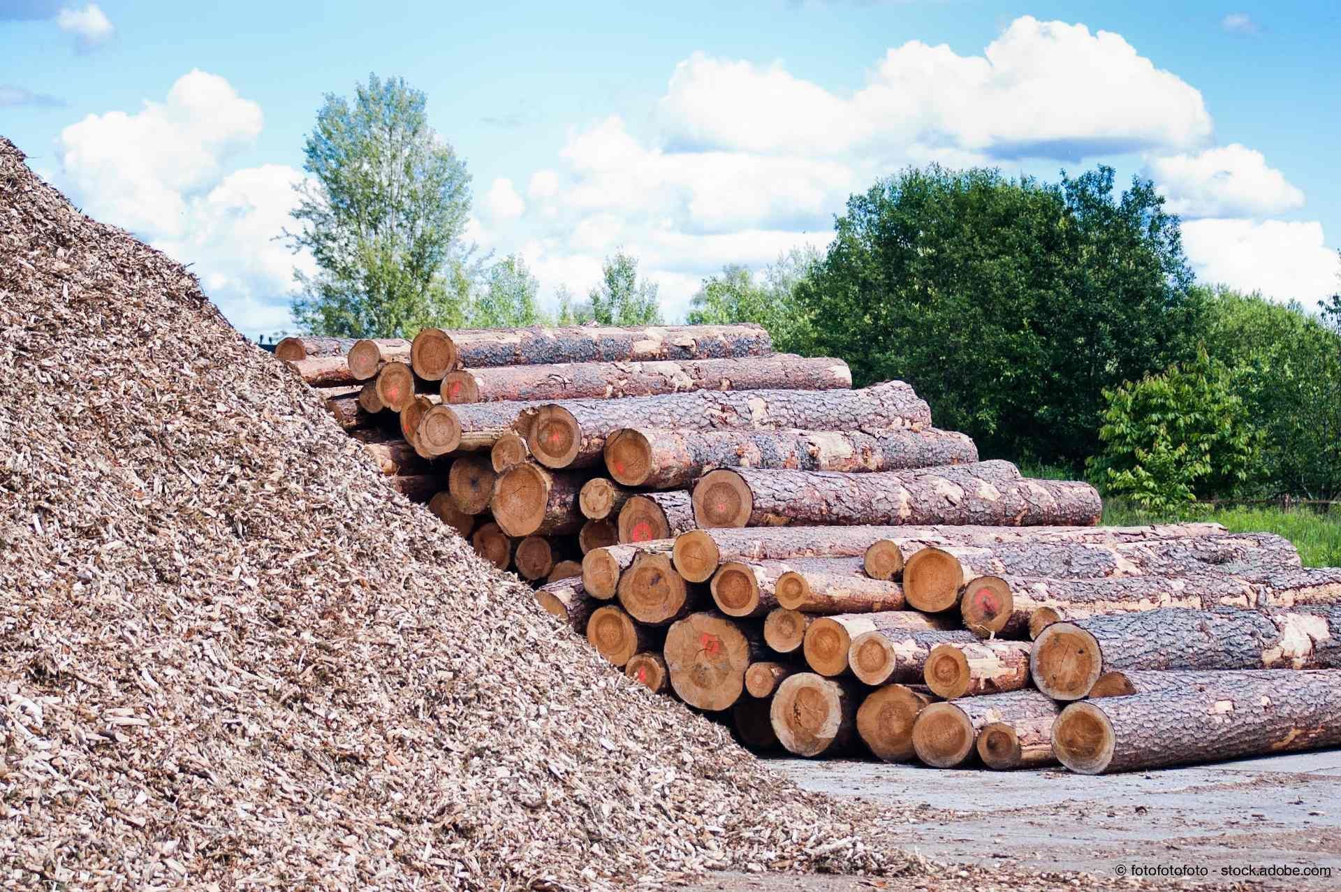 Auf dem Foto sind runde Holzscheite und ein Haufen Holzspäne zu sehen.