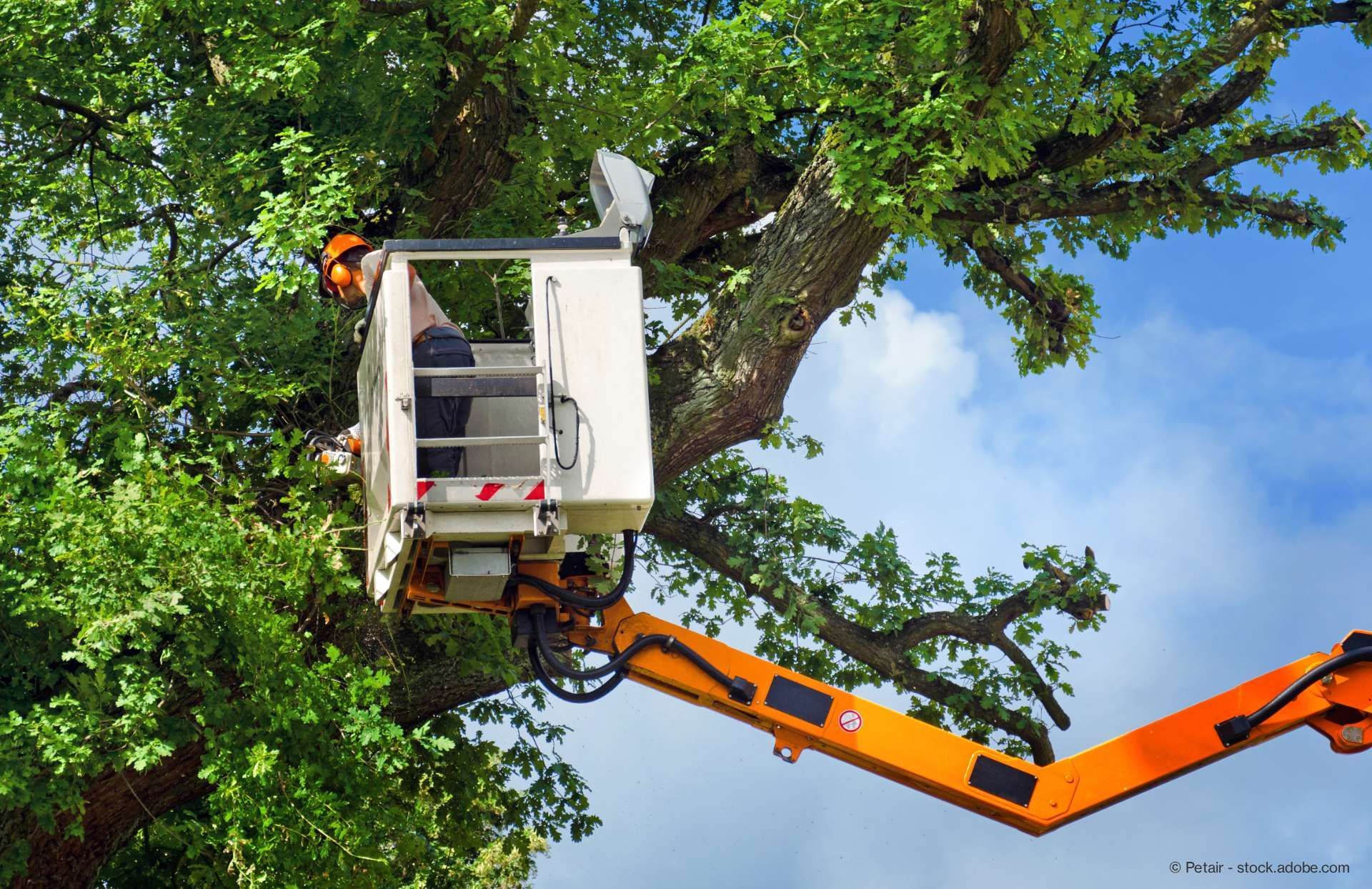 Arbeiter bei Baumrückschnitt mit Hubsteiger