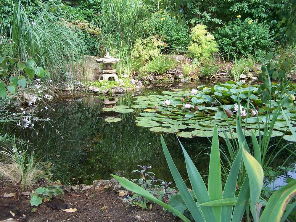 aménagement d'un bassin