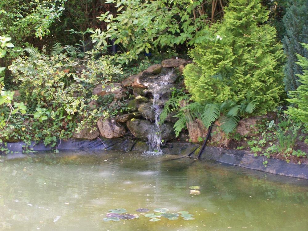 bassin avec fontaine d'eau