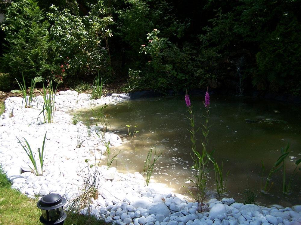 création d'un bassin