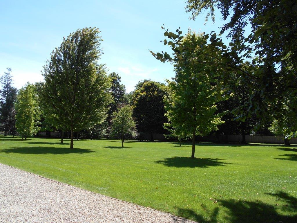 entretien tonte pelouse