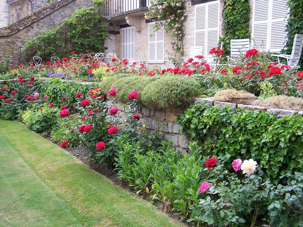 vegetalisation d'un muret