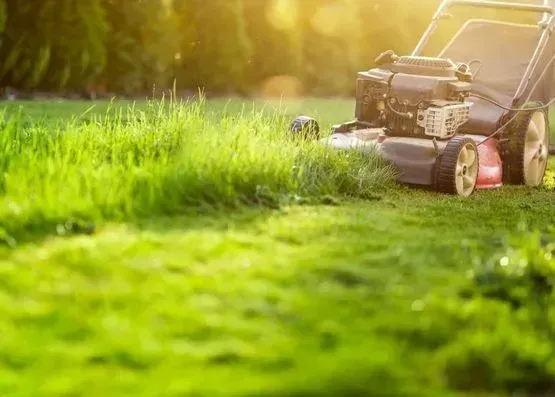 Una cortadora de césped cortando hierba alta y verde en un jardín soleado.