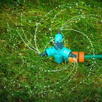 Un aspersor de césped azul de tres brazos conectado a una manguera de jardín verde, rociando gotas de agua sobre el césped verde.