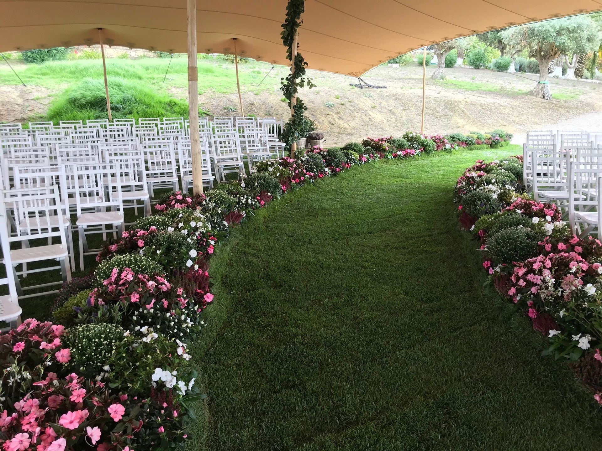 Uma fileira de cadeiras sob uma tenda com flores no chão.