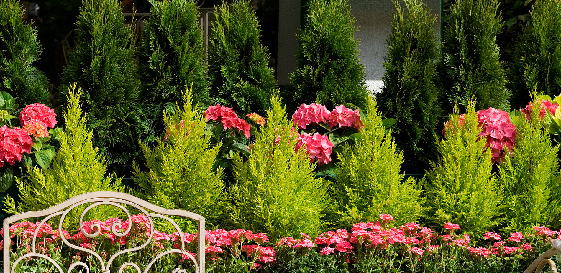 Há um banco no meio de um jardim com flores e árvores.