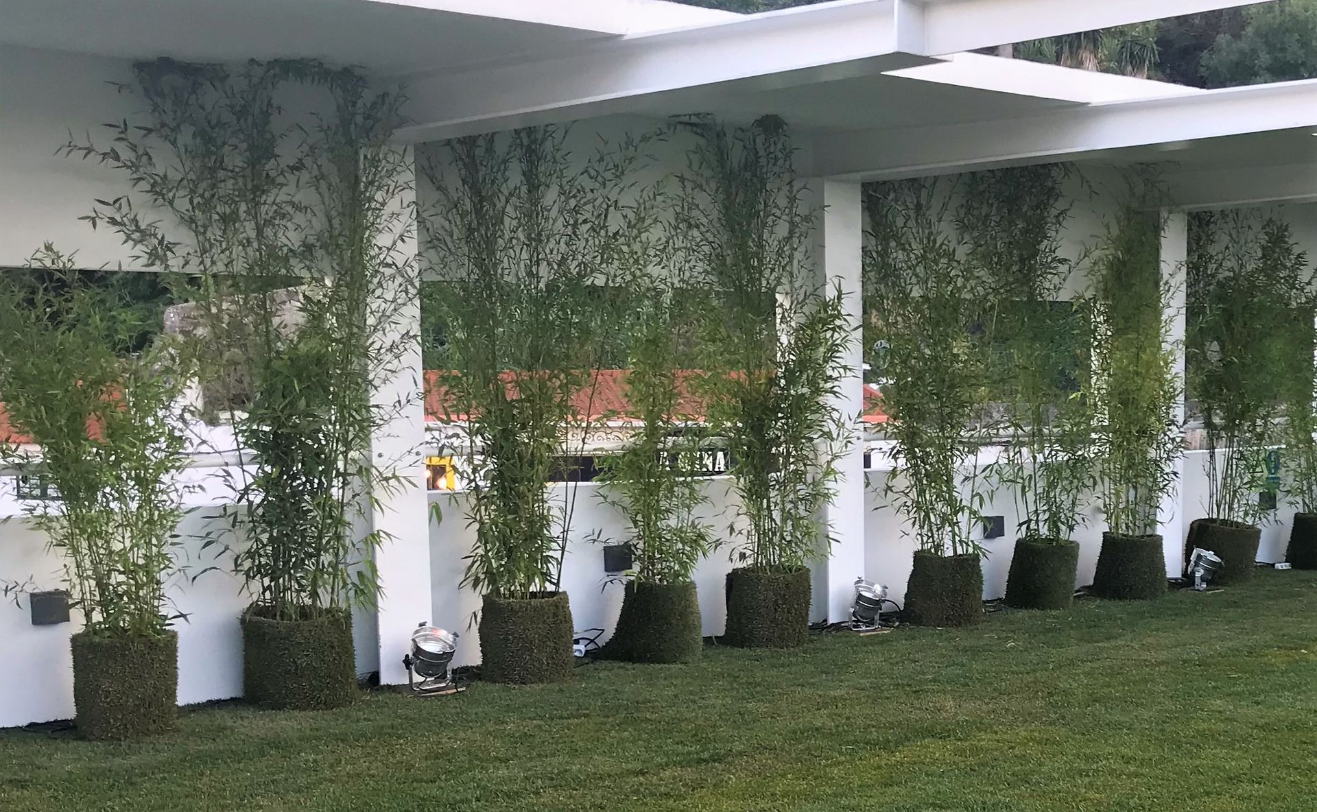 Uma fileira de plantas em vasos na frente de um prédio