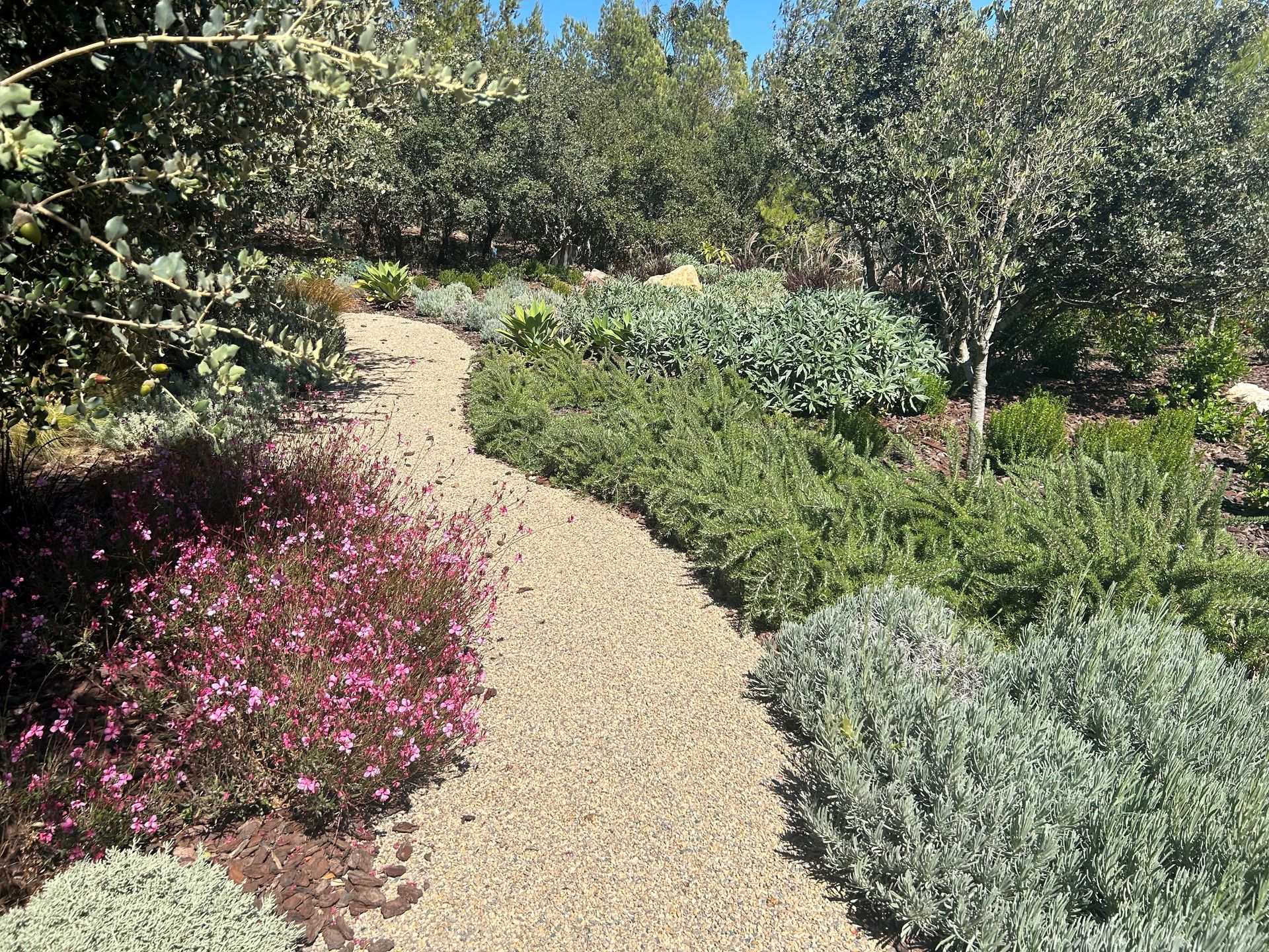 Um caminho de cascalho cercado por flores e árvores em um jardim.