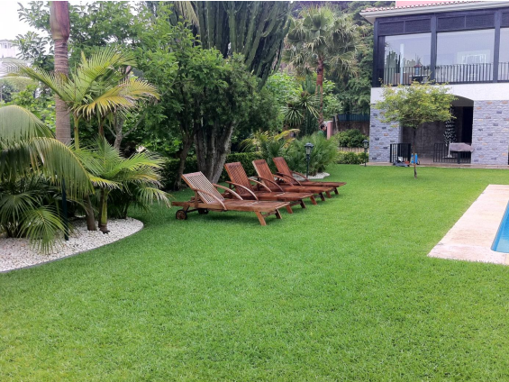 Um gramado com cadeiras e uma piscina ao fundo