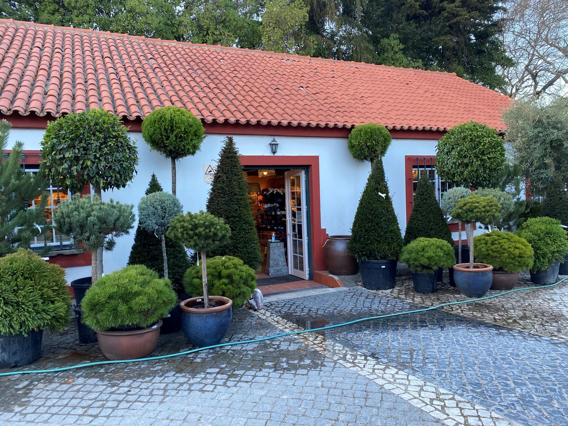 Uma casa branca com telhado de telhas vermelhas cercada por vasos de plantas.