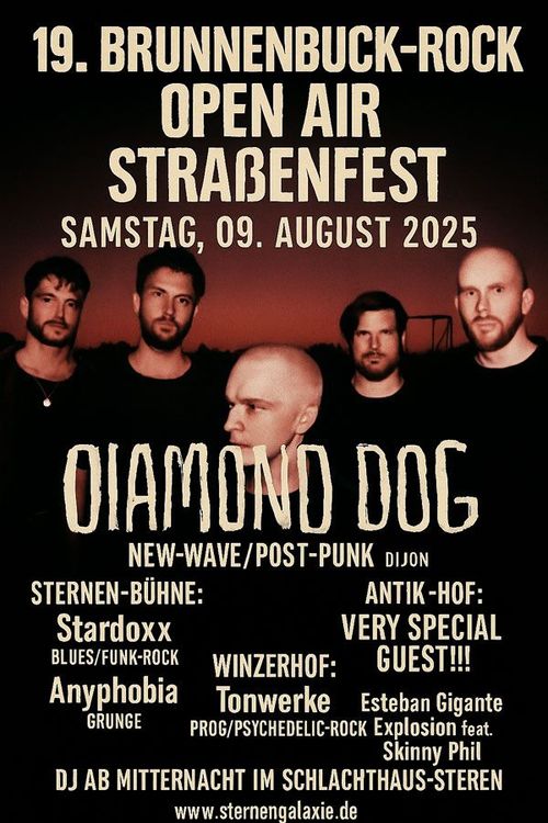 Ein Poster für eine Band namens Diamond Dog