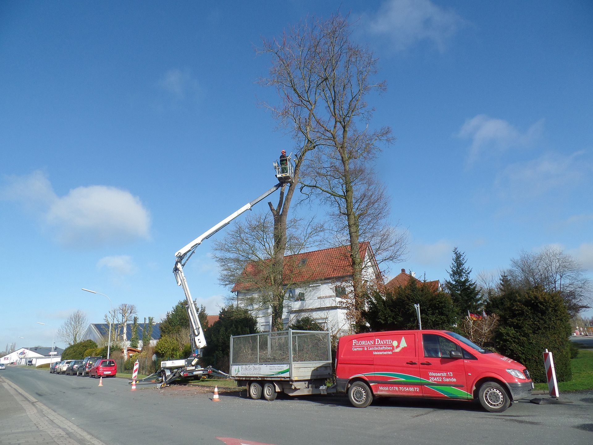 Ein roter Lieferwagen steht am Straßenrand neben einem Kran und fällt einen Baum.