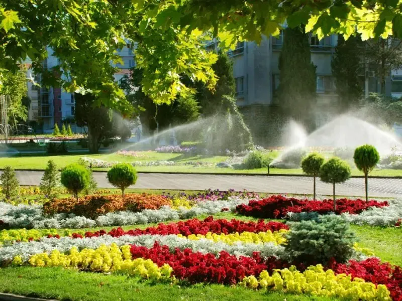 Ein Garten mit vielen Blumen und Sprinklern im Hintergrund.
