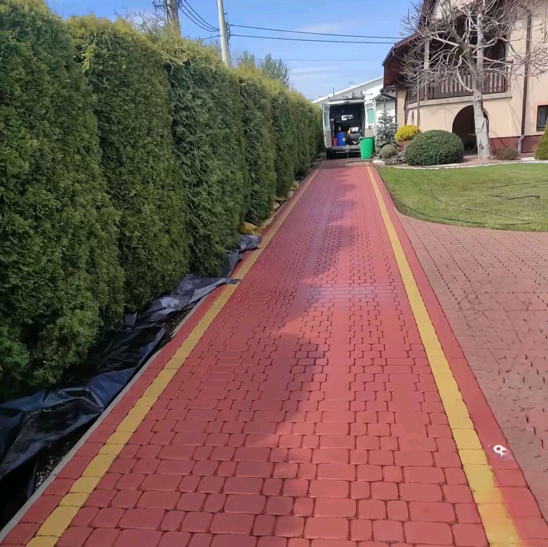 Un sendero de ladrillos rojos con bordes amarillos discurre junto a un seto hacia una casa y un vehículo que se ven al fondo.