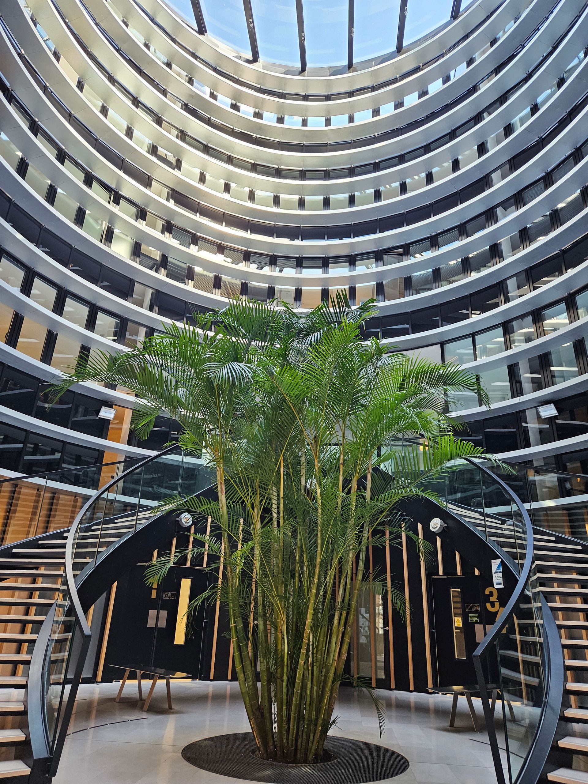 Intérieur d'un bâtiment avec un arbre et des escaliers