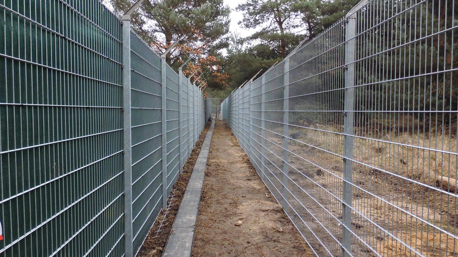 Ein schmaler Feldweg, flankiert von zwei Maschendrahtzäunen, von denen einer teilweise mit grünen Sichtschutzlamellen bedeckt ist, führt in ein Waldgebiet.